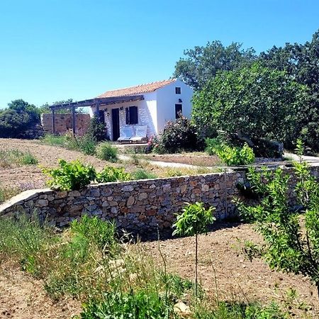 The Pigeon House Villa Potamos  Bagian luar foto