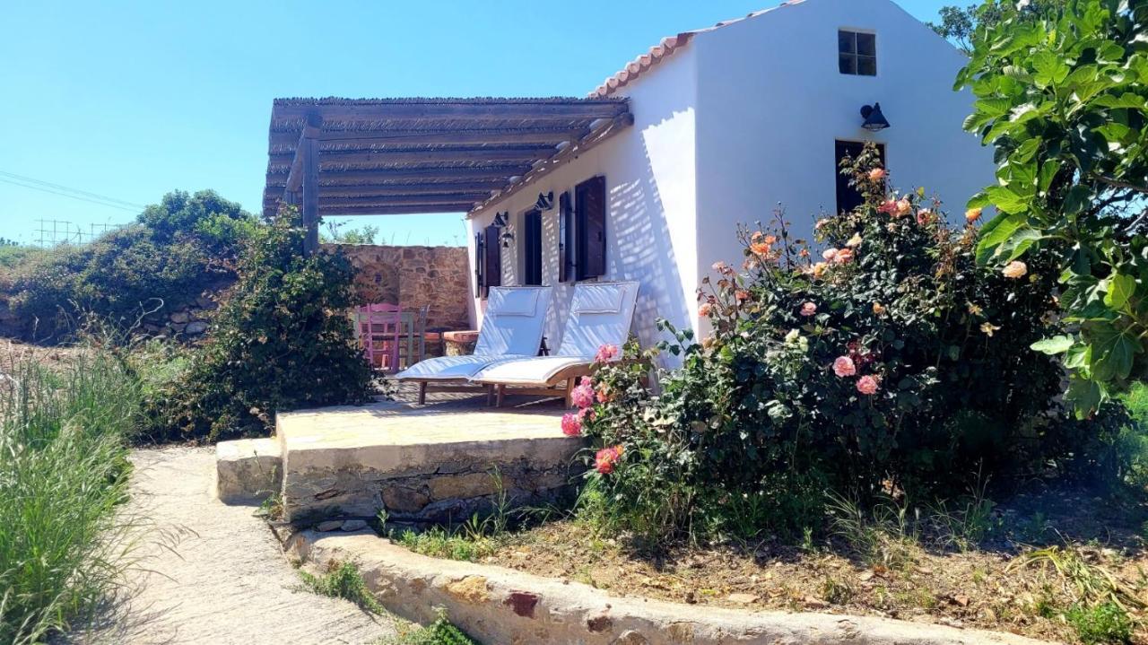 The Pigeon House Villa Potamos  Bagian luar foto